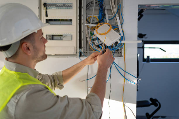 Best Electrical System Inspection  in Otsego, MI